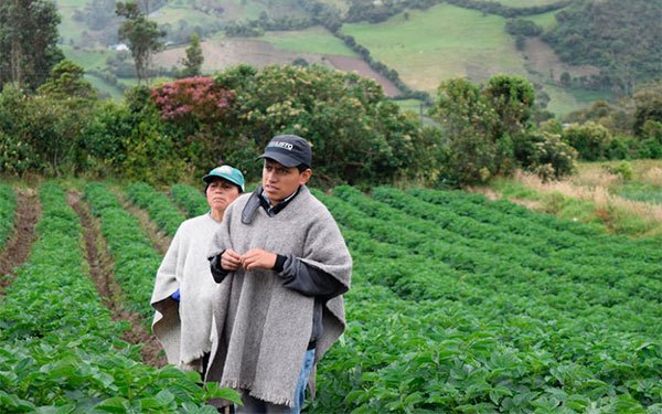 Labriegos Altiplanos Cundiboyacense