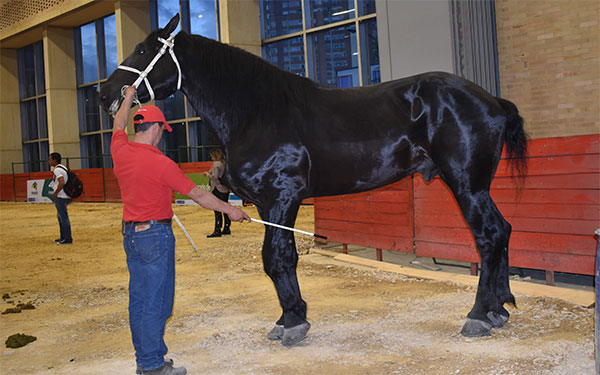 Foto Diariolaeconomia.com