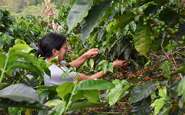 Foto Diariolaeconomía.com