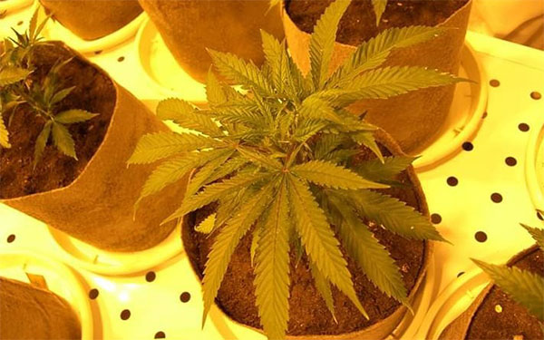 Foto Red de Prensa Colombiana