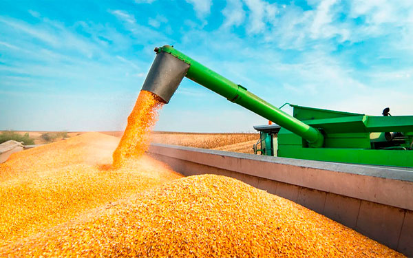 Imagen tomada de Agrolatam