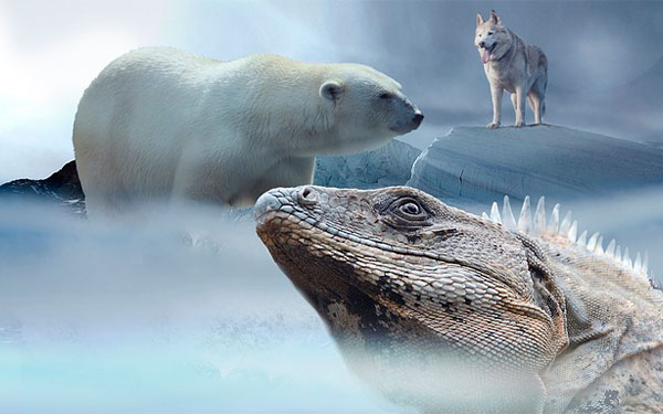 Imagen-de-PIRO4D-en-Pixabay