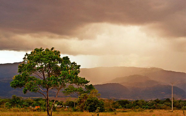 Imagen-de-Jerzy-Andrzej-Kucia-en-Pixabay