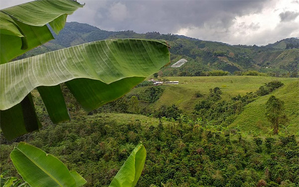 Fotos Diariolaeconomia.com