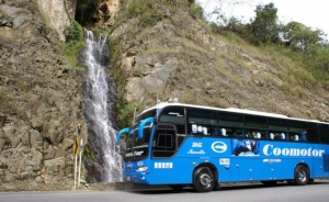 Transporte intermunicipal pierde m&aacute;s de $400.000 millones por informalidad