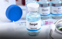 Vacuna rusa contra el dengue ser&iacute;a muy beneficiosa: epidemi&oacute;logo