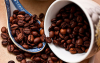Colombia, lista para sembrar caf&eacute; robusta en Casanare y zonas c&aacute;lidas