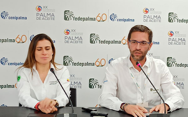 Aceite puro de Colombia, un producto totalmente diferenciado