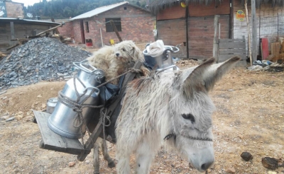 Embajada de Brasil y Naciones Unidas visitar&aacute;n agricultores familiares en Nari&ntilde;o