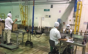 Domecq, un brandy de pura cepa
