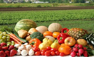 El negocio de las frutas est&aacute; como un lulo