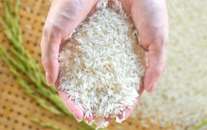 Diana, fidelizaci&oacute;n como arroz: Fue la marca m&aacute;s recordada en 2022