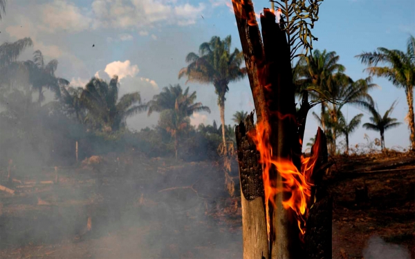 Corporaciones agroindustriales tras la quema de la Amazon&iacute;a