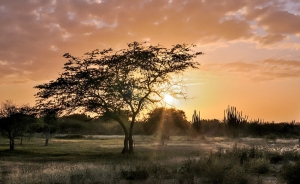 Turismo entre Colombia y Venezuela continua din&aacute;mico