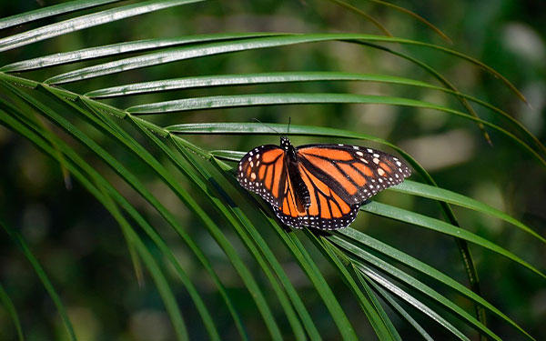 Gremca, rompiendo paradigmas: El agua y el aceite s&iacute; se pueden juntar