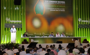 Productividad y asociatividad, f&oacute;rmulas para alcanzar la competitividad palmera