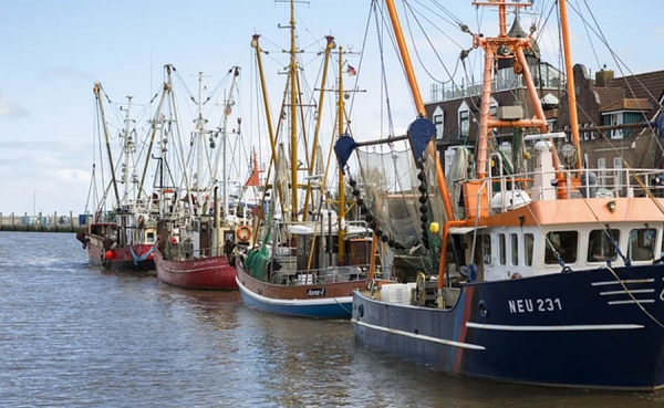 Las capturas pesqueras de Portugal caen al m&iacute;nimo en 2014