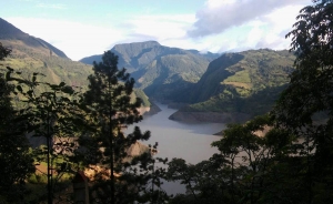 El campo es viable con los TLC, pero solo con valor agregado: Agrofuturo