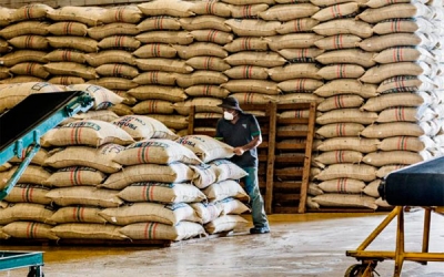 Almacaf&eacute; Manizales, 90 A&ntilde;os al servicio de los caficultores colombianos