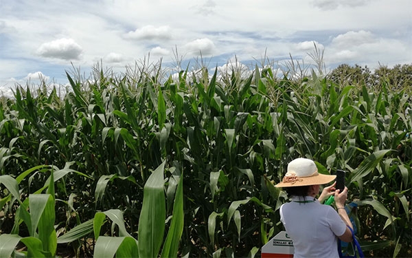 La producci&oacute;n agr&iacute;cola registr&oacute; un crecimiento r&eacute;cord en el primer trimestre