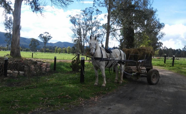 C&aacute;mara de Comercio de Bogot&aacute; impulsa el desarrollo agroindustrial de la regi&oacute;n