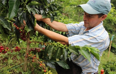 Federaci&oacute;n de Cafeteros gana premio internacional Prevencia 2019