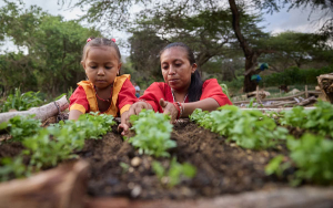 Transformaci&oacute;n territorial: Impulsando el futuro del campo colombiano