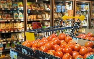 Reforma tributaria, sal en la herida que demanda inteligencia: Pinto Saavedra