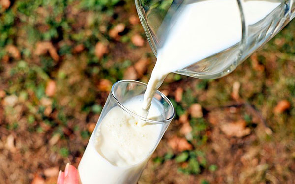 Costos de producci&oacute;n incrementaron precios de la leche: Analac