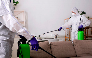 Jelpit.com, soluciones a la mano para la gesti&oacute;n de copropiedades