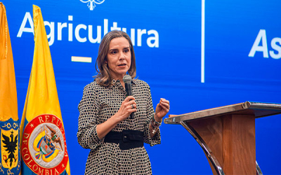 Gobierno y Asoleche revelan que baj&oacute; consumo de l&aacute;cteos en el pa&iacute;s