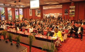 Programa AMTEC, resultados como arroz