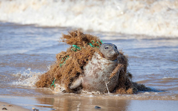 Empresas globales y ONG unidas contra la contaminaci&oacute;n del pl&aacute;stico