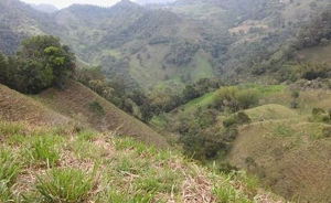 Restituci&oacute;n de tierras entre voluntad, avivatos, minas y acciones militares