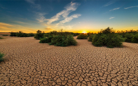 El Ni&ntilde;o: las decisiones tambi&eacute;n tienen su momento