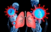 &iquest;Qu&eacute; ocurre en el cuerpo una vez que nos contagiamos de coronavirus?