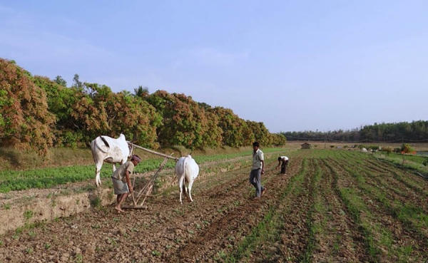 Supremo ordena a Endesa Chile indemnizar agricultores con 3 millones d&oacute;lares