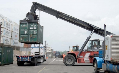Jamaica exporta primer gran cargamento de carb&oacute;n de bamb&uacute; org&aacute;nico a EE.UU.