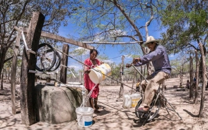 Incumplimiento de la Sentencia T-302 de 2017: una ignominia