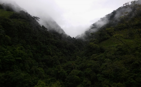 Situaci&oacute;n de los p&aacute;ramos, un tema que deja fr&iacute;o a cualquiera