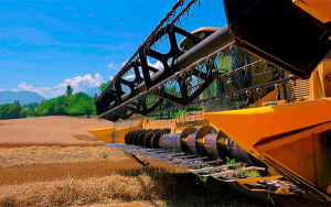 Colombia debe prepararse para una agricultura de guerra: Fenalce