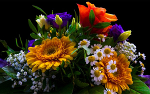 Flores colombianas listas para celebraci&oacute;n de San Valent&iacute;n