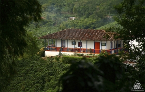 Quind&iacute;o: En donde lloran los guaduales para que el caf&eacute; tenga alma
