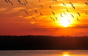 Vichada, todo el encanto de Colombia en la promisoria Altillanura