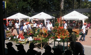 &ldquo;Colombia Siembra&rdquo; debe optar por 15 millones de hect&aacute;reas