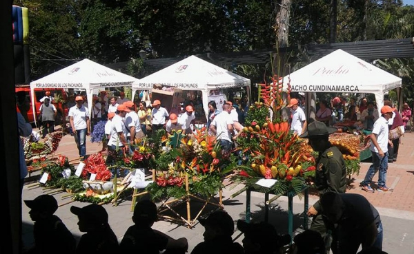 &ldquo;Colombia Siembra&rdquo; debe optar por 15 millones de hect&aacute;reas