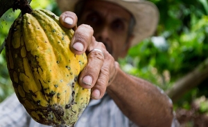 El campo del posconflicto no va con el modelo econ&oacute;mico: Cecilia L&oacute;pez