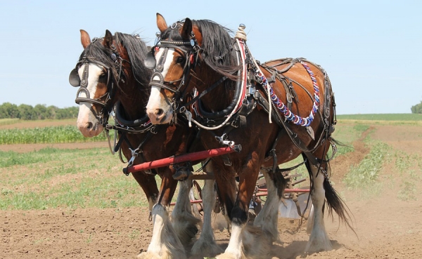MinAgricultura y el FIDA analizaron proyecto que beneficiar&aacute; a 55 mil hogares