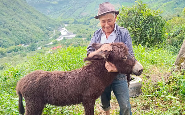 Campo y educaci&oacute;n igual a profesionalizaci&oacute;n y sostenibilidad