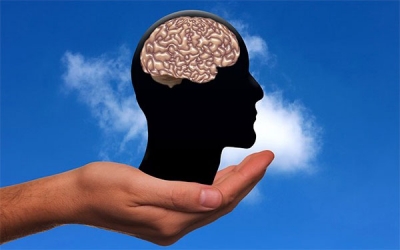 Usamos 10% del cerebro: &iquest;mito o realidad?